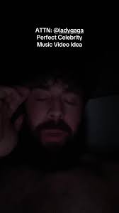 Perfect Celebrity Snippet