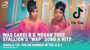 Was Cardi B Megan Thee Stallion S Wap Song A Hit Reported Tik Tok Ban 181 Youtube