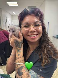 One day, a farmer's donkey fell into a well. The animal cried and grieved  for hours while the farmer tried to do something to save him. Eventually,  the farmer decided the donkey