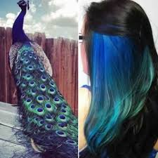 If you naturally have dark hair, you might want a color that blends beautifully with your peekaboo highlights. 50 Colorful Peekaboo Highlights My New Hairstyles