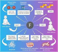 Image result for Fluoride Toxicity