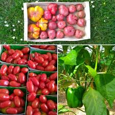 Bio Archives Produits Du Terroir Des Yvelines Decouvrez Nos Producteurs