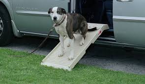 This diy dog ramp for stairs will make it easier for your dog to come out from your home and to enter in after a playing session outdoor. 3 Ways Dog Ramps Can Help Your Pup Stay Safe Petstep Dog Ramps