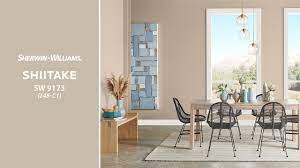 Shiitake (sw 9173) foyer, agreeable gray (sw 7029) kitchen and family room, sea salt (sw 6204) powder room, anew gray (sw 7030), office and laundry, china doll. Color Of The Month September 2019 Shiitake Tinted By Sherwin Williams