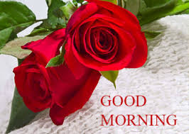 Maybe you would like to learn more about one of these? Good Morning Romantic Rose Free Download Good Morning Images Quotes Wishes Messages Greetings Ecards