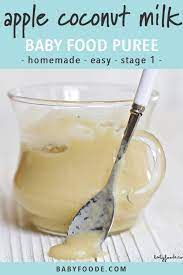 Apple Coconut Milk Baby Food Puree Stage 1 Baby Foode
