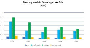 Mercury In Onondaga Lake Fish Keeps Falling But Theres A