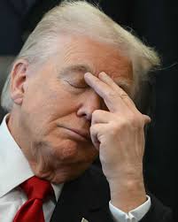 13 Bürgermeister und 27 Schöffen vereidigt