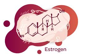 Image result for Estrogen