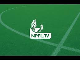 Compare teams, find the best odds and browse through archive stats up to 7 years back. Assessing The Nigeria Professional Football League Npfl Sports Youtube