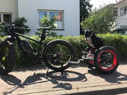 Fahrrad Fahren Mit Dem Hund So Kann S Gehen Roland