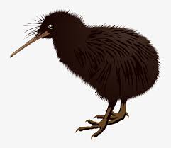 The first depiction of the kiwi as new zealand's national symbol can be traced as far back as the early 1900s. Kiwi Bird Clipart Kea New Zealand Kiwi Png Transparent Png 800x717 Free Download On Nicepng