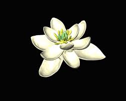 The pistil (also called the carpel). Blossoming Bisexual World S 1st Flower Had Male And Female Parts Live Science