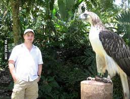 German imperial eagle vs bald eagle. I See Your German Imperial Eagle And Raise You This Philippines Eagle 9gag