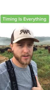 Understanding Cow Behavior and Movement