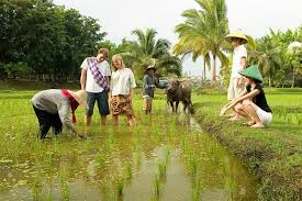 Exquisitely designed paintings and other artistic items significance: Langkawi Inseltour 2021 Tiefpreisgarantie