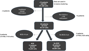 • about 37 percent of breast cancers diagnosed will be carcinomas in. Multi Protein Spatial Signatures In Ductal Carcinoma In Situ Dcis Of Breast British Journal Of Cancer