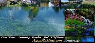 Click here to get $20 credit. Pond Lake Building Costs By Pro Design Biologists The Real Answers
