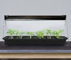 Check spelling or type a new query. Ferry Morse Indoor Grow Light Fixture With T5 Bulb Indoor Grow Lights Grow Lights Seedlings Indoors