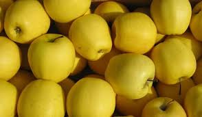 These apples can commonly be found in stores and markets. 11 Types Of Yellow Apple And Their Uses Crate And Basket