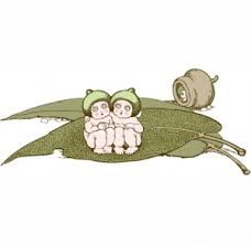 Lots of snuggle pod to choose from. Snugglepot And Cuddlepie Royal Botanic Gardens Cranbourne Casey Cardinia Kids