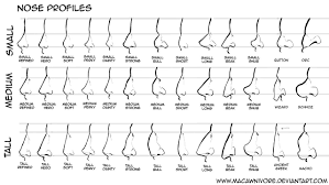 We all must've quipped over this type of nose derives its name after an actor leo mckern who played the character whose name was this type of nose shape has been a favourite of artists and is often sketched in their arts. Nose Types Chart Most Attractive Nose Shape