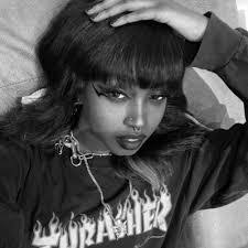 Renee Timm's Instagram, Twitter & Facebook