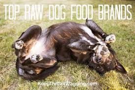 50 best dog food reviews, grain free dry , raw dog food, canned dog food the honest kitchen requires certification to verify that every lot of raw ingredients we buy has been tested clear k9 natural raw dog food. Top Raw Dog Food Brands 2019 Keep The Tail Wagging