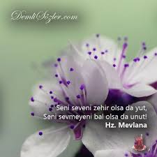 Seni Seveni Zehir Olsa Da Yut Seni Sevmeyeni Bal Olsa Da Unut Seni