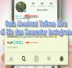 Biodata (bio) pada profil instagram merupakan sebuah data diri dari setiap orang atau pemilik akun instagram tersebut. Cara Membuat Tulisan Biru Di Bio Dan Komentar Instagram