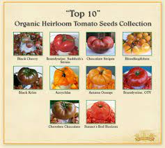 Maybe you would like to learn more about one of these? Top 10 Heirloom Tomatoes Tomatofest Heirloom Tomatoes