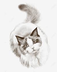 23,754 likes · 40 talking about this. Lukisan Kucing Comel Cikimm Com