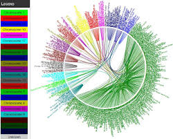 Hartley Autosomal Dna Page 5 Hartley Dna Genealogy