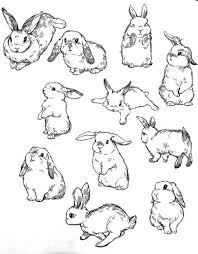 Inscreve Te Tumblr Bunny Art Bunny Drawing Bunny Tattoos