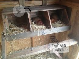 Behind The Scenes Chicken Coop Tour Rooted Revival Chicken Nesting Boxes Chicken Coop Pallets Nesting Boxes Diy