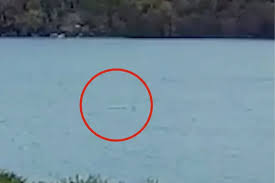Is this proof Loch Ness Monster exists? Nessie hunter claims new vid shows  mythical creature is real | LBC