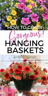 Hanging baskets provide masses of color and texture dripping down from above your porch or deck. An Easy Care Guide For Luscious Hanging Basket Flowers Garden Therapy