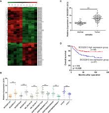 That's why it is so important to keep up with routine (this is called the grade.) how quickly the cells divide. Long Noncoding Rna Bc032913 As A Novel Therapeutic Target For Colorectal Cancer That Suppresses Metastasis By Upregulating Timp3 Molecular Therapy Nucleic Acids