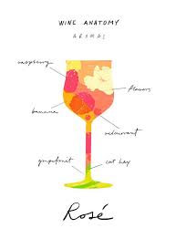 Rose Wine Art Wine Anatomy Print Wine Illustration Etsy Wine Art Wine Poster Wine