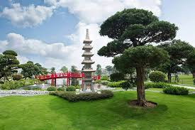 Image result for công viên vinhomes central park