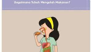 Kunci jawaban tema 3 kelas 5 halaman 36. Kunci Jawaban Tema 3 Kelas 5 Halaman 35 36 37 38 39 Buku Tematik Bagaimana Tubuh Mengolah Makanan Tribun Pontianak