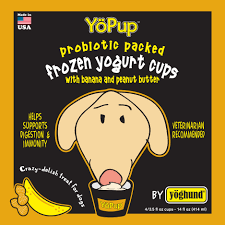 Image result for yoghund