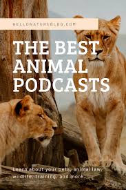 The Best Animal Podcasts In 2020 Animal Law Animals Pet Travel