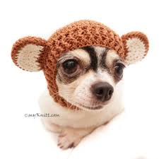 Monkey Dog Hats Crochet Dog Hat Cat Hats Db8 Crochet Dog Hat Dog Hat Crochet Dog