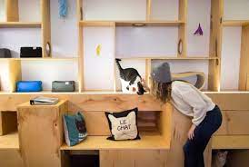 A Purrfect Pairing This New York Cat Cafe Offers Sweet Treats And Furry Friends Video