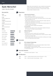 Cyber Security Resume Examples And 25 Writing Tips