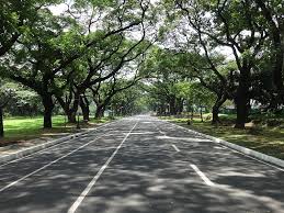 Up diliman has become a home for me. Up Diliman Academic Oval Reopens This Weekend With Stricter Health Protocols Nolisoli