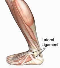 Ankle Pain Ankle Diagnosis Physioadvisor