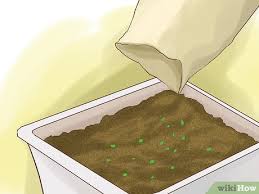 One great way to annoy your neighbor is to pick a gorgeous, warm evening and invite fifty of your closest friends over for a garden party. How To Start A Vegetable Garden 15 Steps With Pictures