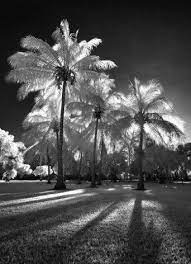 How To Enhance Your Black And White Images With Infrared Photography Ir Photography Infrared Photography Photography